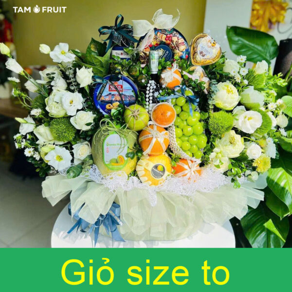 Giỏ trái cây dạm ngõ ht184