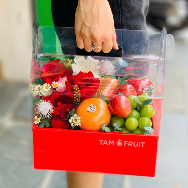 Giỏ trái cây ht205