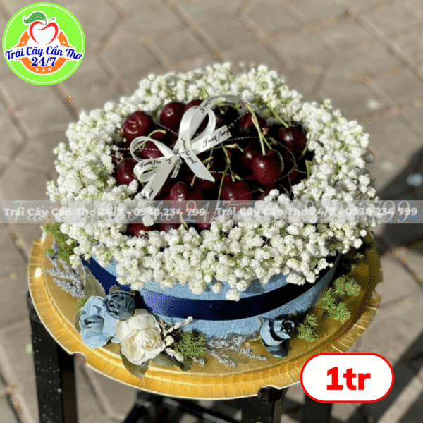 Hộp quà tặng MS7