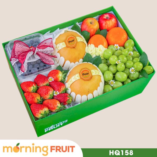 Hộp quà trái cây HQ158