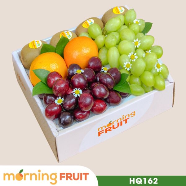 Hộp quà trái cây HQ162