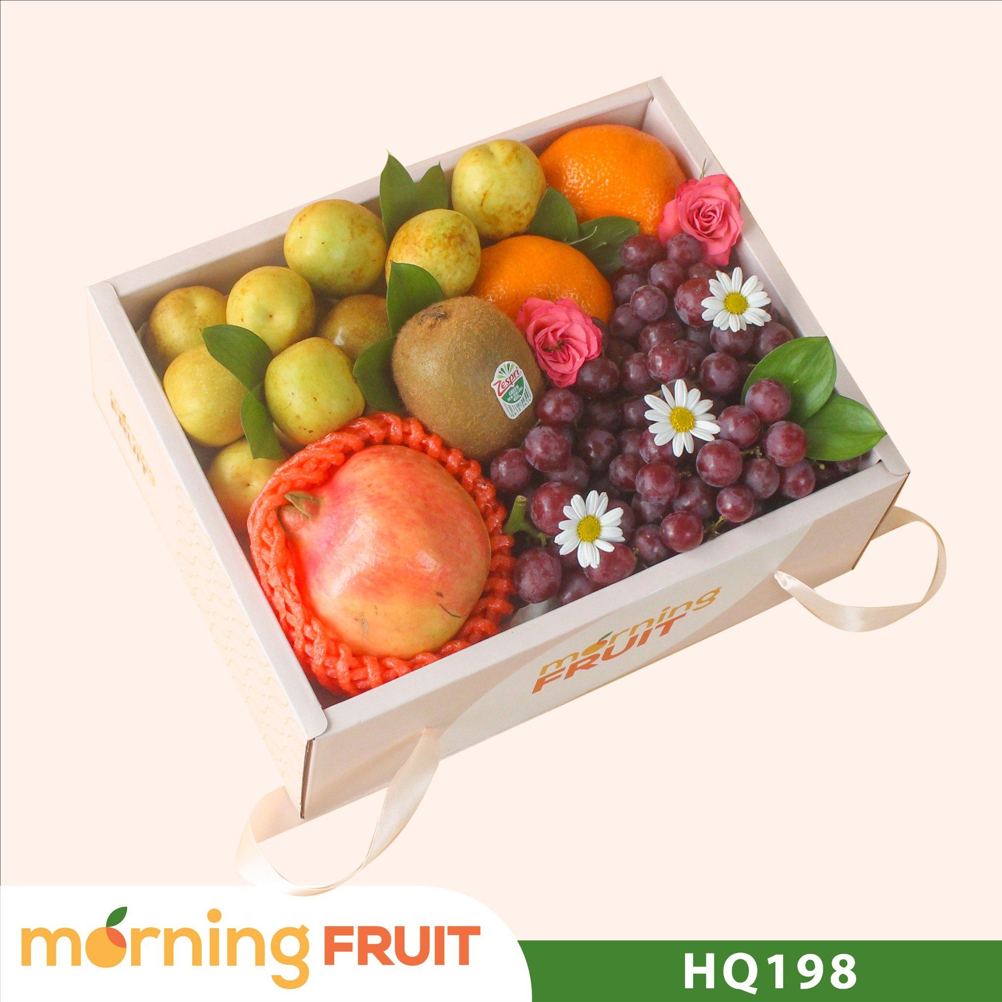 hq198_e19be4c2a3e74cd782bdaf51e2a5b7c8_master.jpg Hộp quà trái cây HQ198 - Image 1