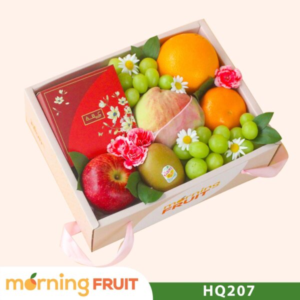 Hộp quà trái cây HQ207