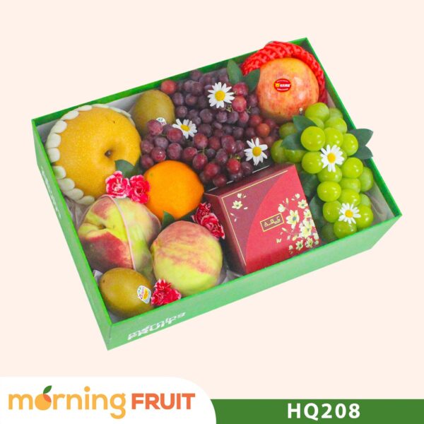Hộp quà trái cây HQ208