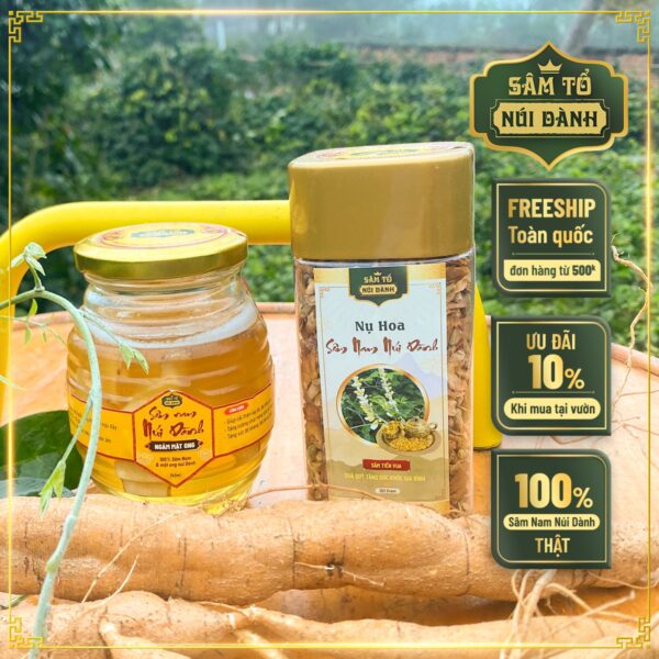 Combo Sâm Nam núi Dành ngâm mật ong 350ml + Nụ hoa Sâm Nam núi Dành 200Gr