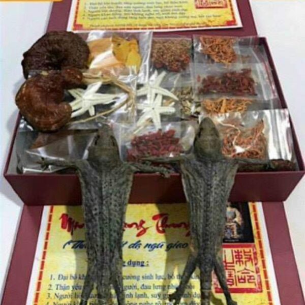 Minh mạng thang đại bổ vip 40 vị