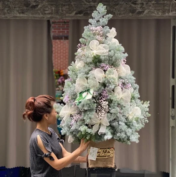 mua-cay-thong-noel-that.jpg.webp Mua Cây Thông Noel Phủ Tuyết Trắng Giá Tốt Tại TPHCM 2024 - Image 1
