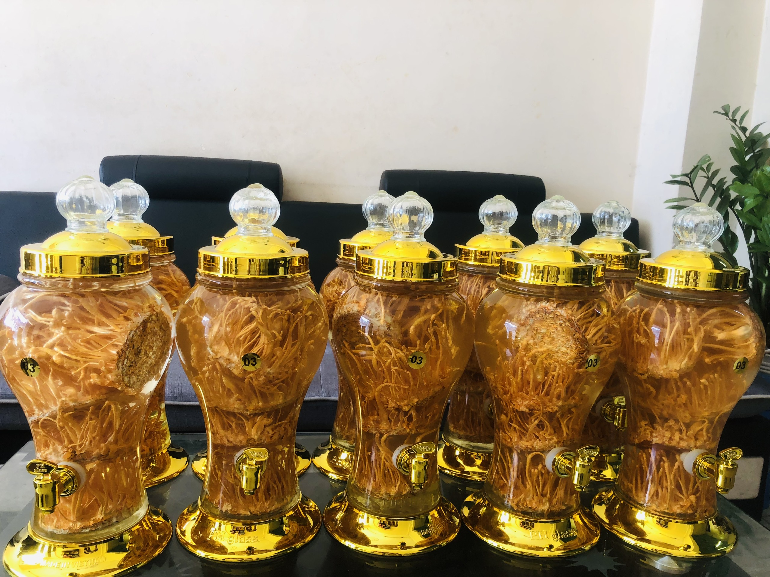ruou-dong-trung-ha-thao.jpg RƯỢU ĐÔNG TRÙNG HẠ THẢO BDAGRI BÌNH 3 LÍT - Image 1