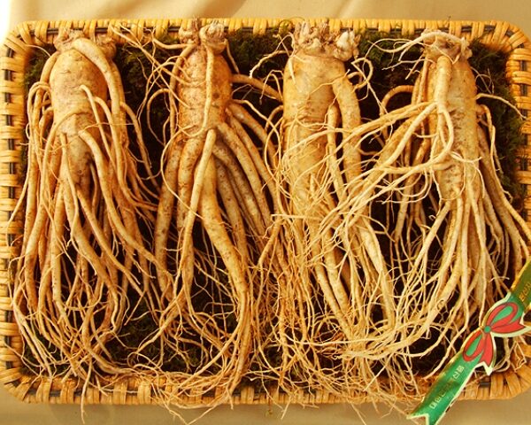 Sâm tươi Hàn Quốc 4 củ/kg