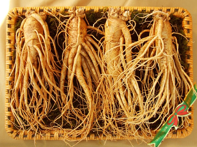 sam-4-cu.jpg Sâm tươi Hàn Quốc 4 củ/kg - Image 1