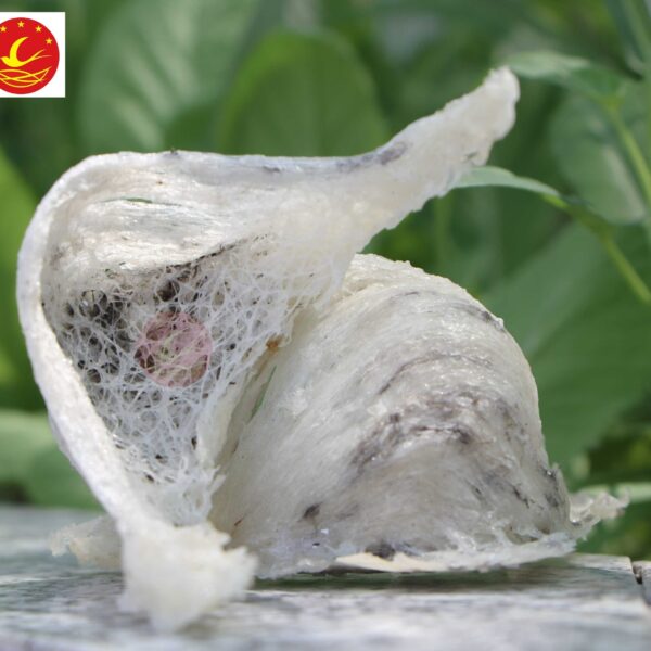 Tổ Yến Thô Còn Lông( loại 20 gram)