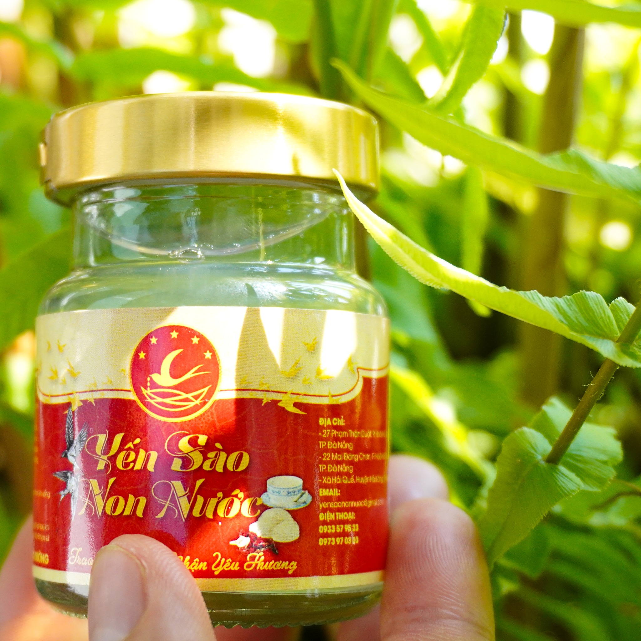 yen-tiet-trung.jpg Yến chưng trực tiếp tại Đà Nẵng I Yến sào Non Nước thương hiệu uy tín - Image 1