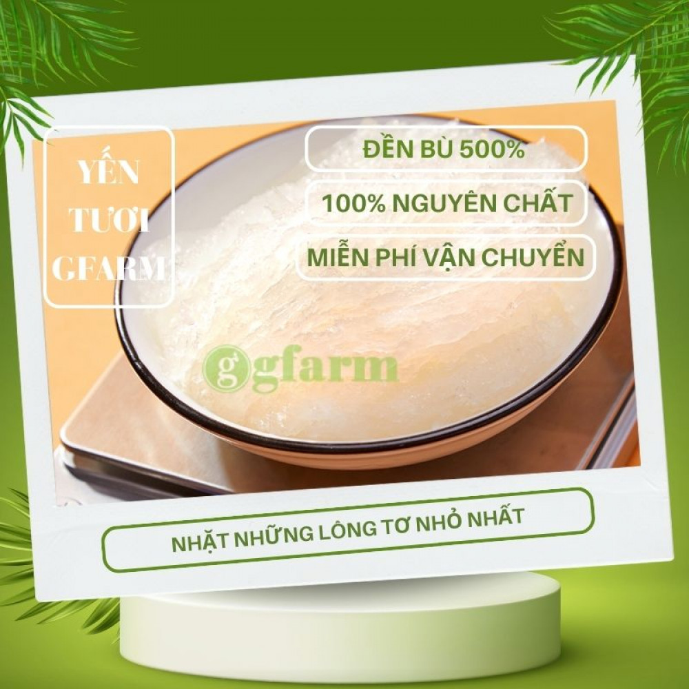 yen-tuoi-gfarm-23-1000x1000-1.jpg Tổ yến tươi - Image 1