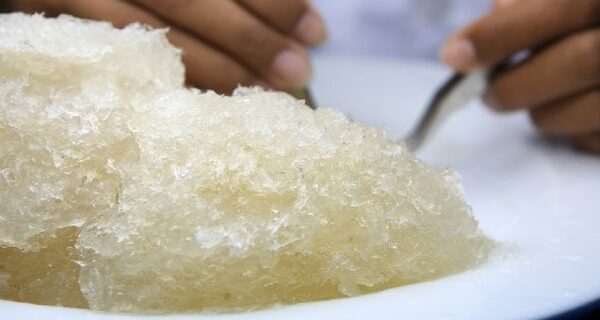 Yến tươi nguyên chất - 50gr