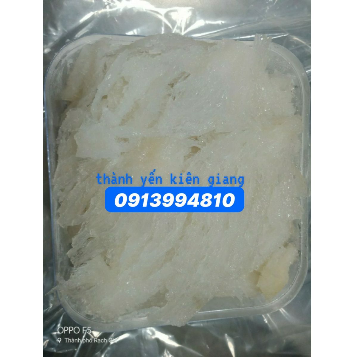 z20611963421088ddf5572a6b2633735942f5aa910906c-9660.jpg Yến tươi sợi lớn (1kg) - Image 1