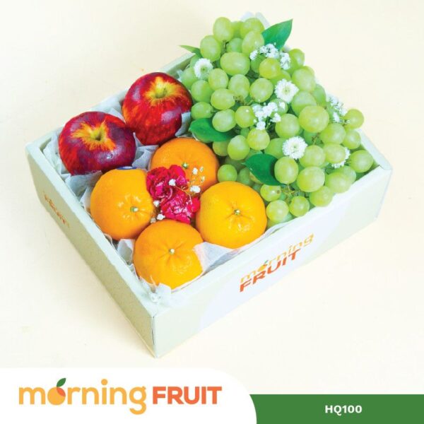 Hộp quà trái cây HQ100