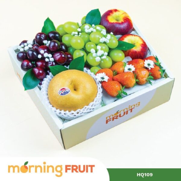 Hộp quà trái cây HQ109
