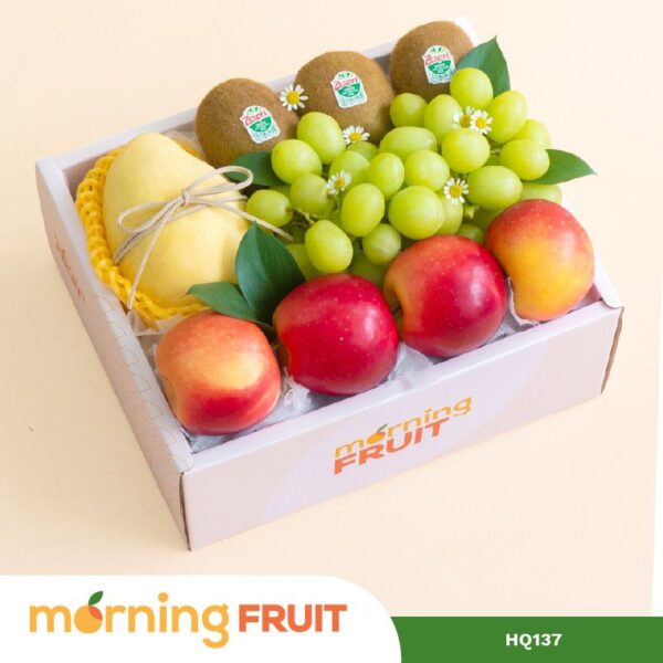Hộp quà trái cây HQ137