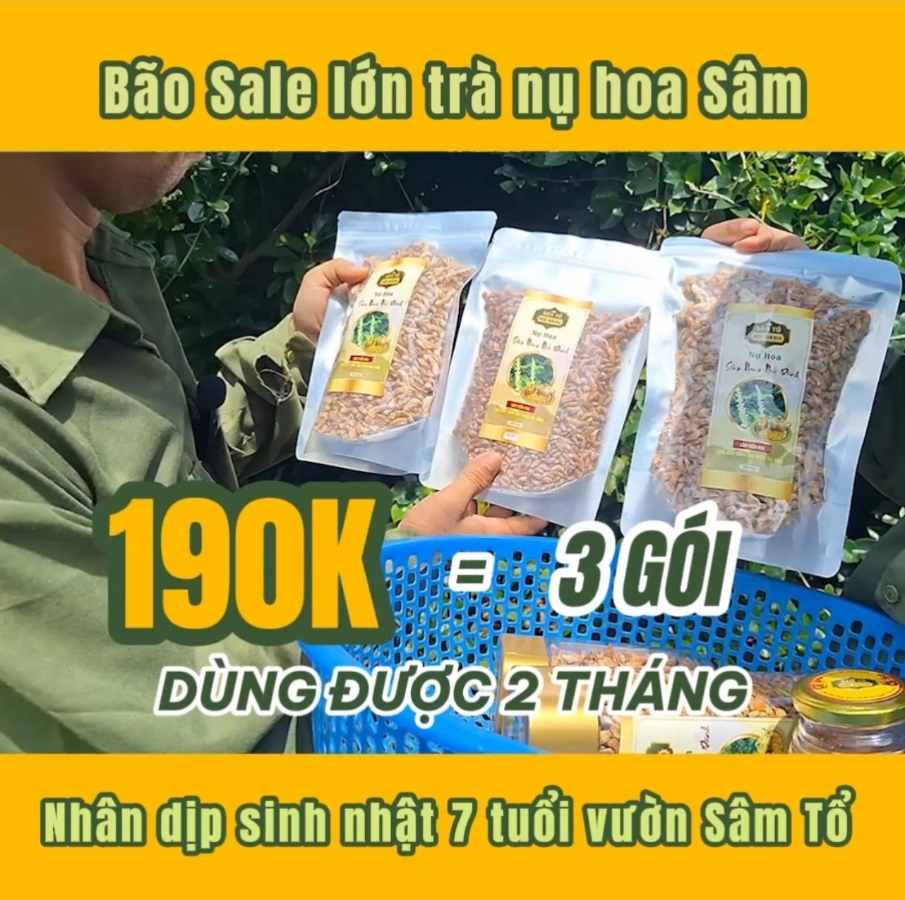 z4732471768856_1d41331774124c6d473559a76b0cc81f.jpg MUA 2 TẶNG 1 Trà hoa Sâm Nam núi Dành gói 100gr – Mừng sinh nhật Vườn Sâm Tổ 7 năm tuổi - Image 1
