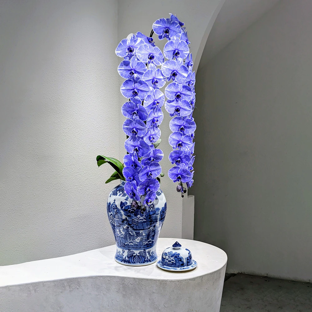 tetflowers-chieuhoang.jpg.webp Chiêu Hoàng - Image 1