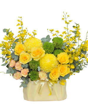 15704_shining-day.jpg Shining Day - Image 1
